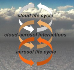 WRF-Chem model